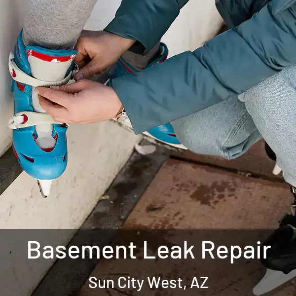  Basement Leak Repair Sun City West, AZ