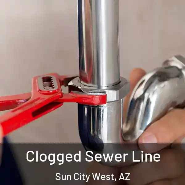 Clogged Sewer Line Sun City West, AZ