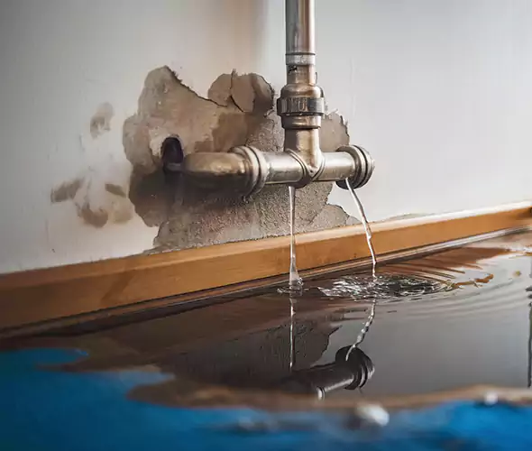Professional Water Damage Restoration Experts in Sun City West, AZ — Fast, Reliable & Certified