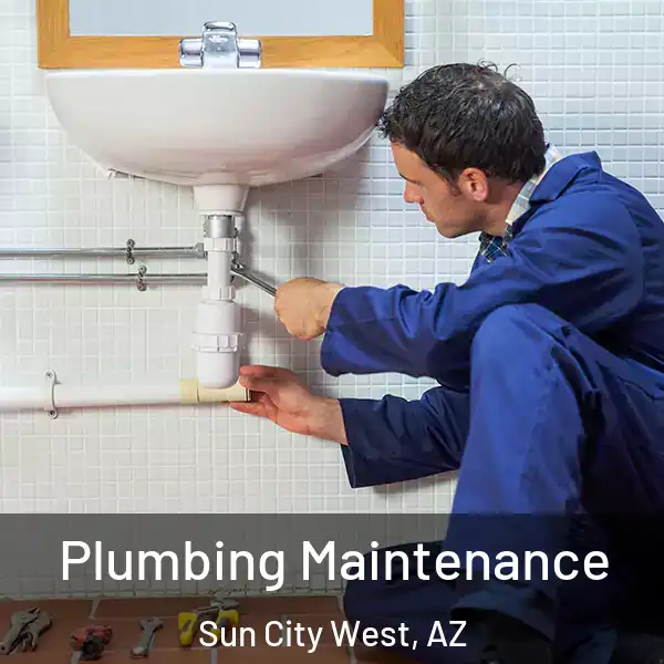  Plumbing Maintenance Sun City West, AZ