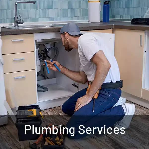  Plumbing Services 