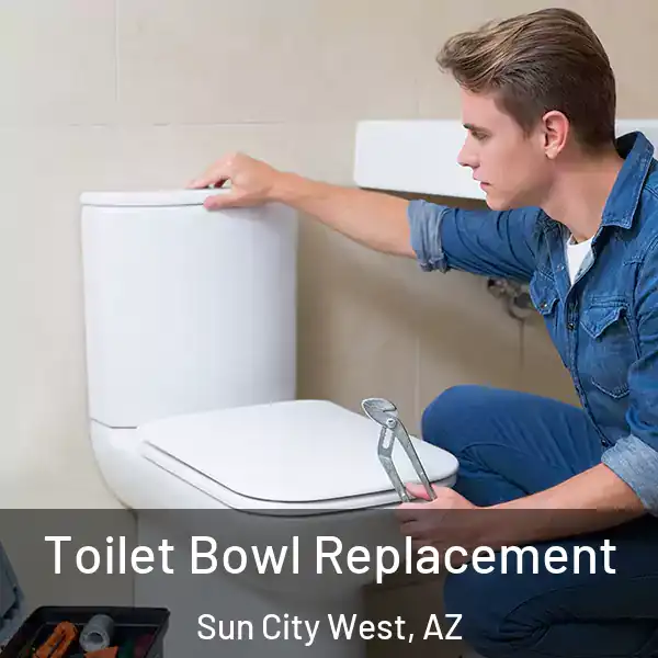  Toilet Bowl Replacement Sun City West, AZ