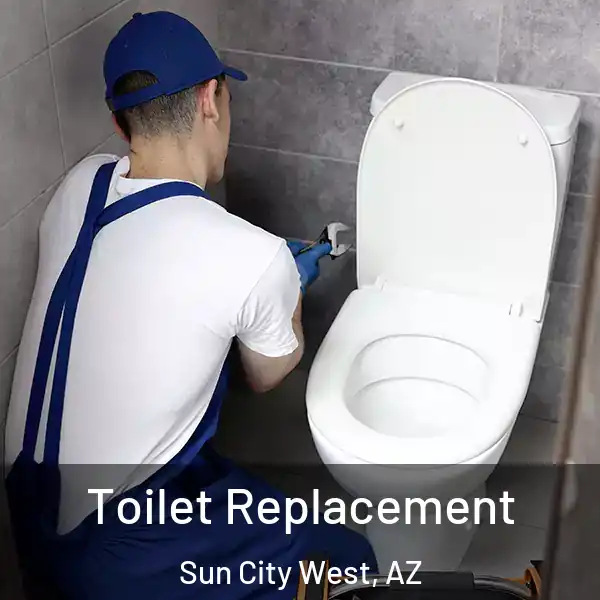  Toilet Replacement Sun City West, AZ