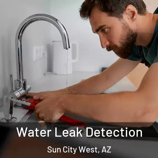  Water Leak Detection Sun City West, AZ